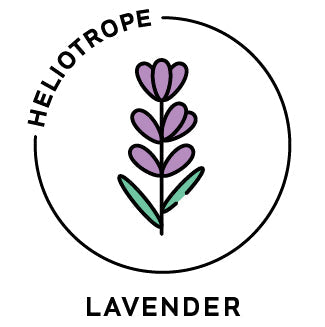 Essential Oil - Lavender