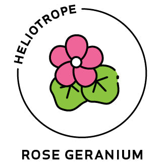 Essential Oil - Rose Geranium