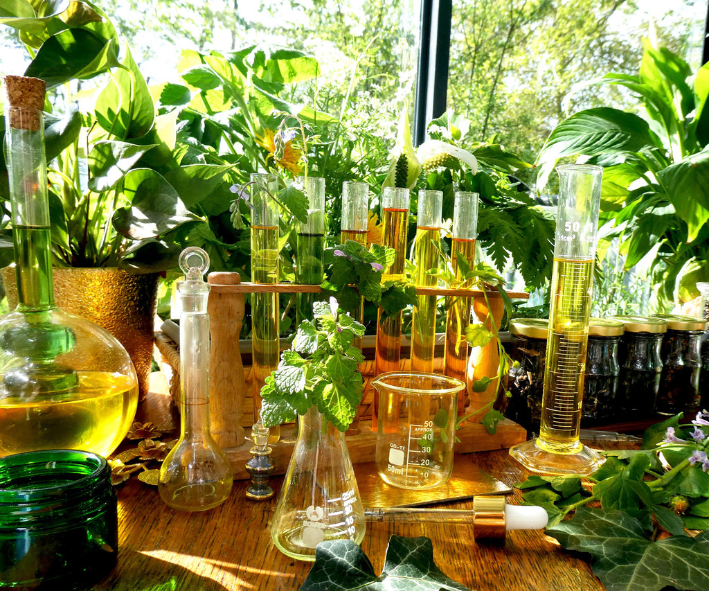 DROP - MERVEILLE DES LANDES BIO - Soin de peau Sensible Régénération Intégrale