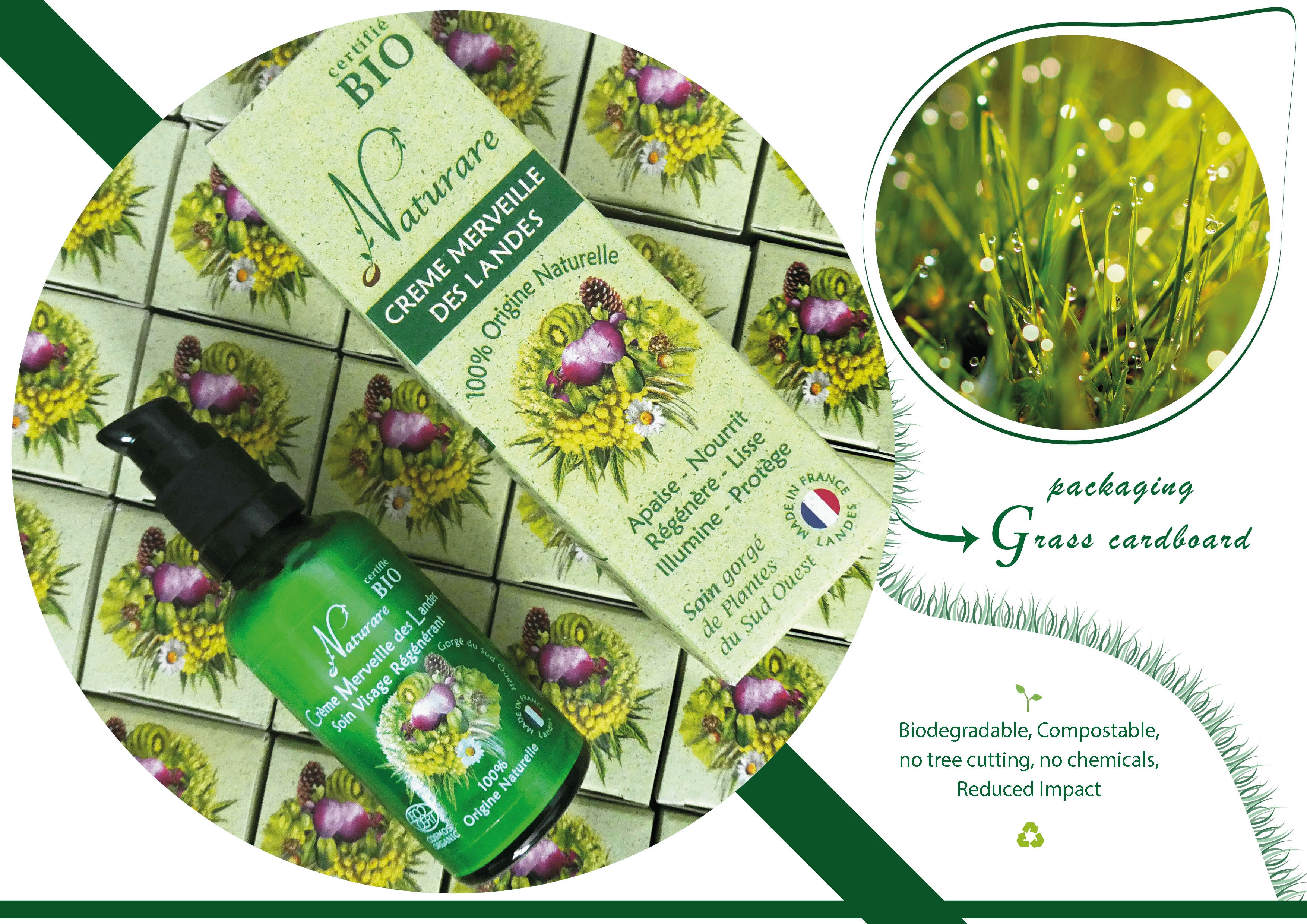 PRO - MERVEILLE DES LANDES ORGANIC - Sensitive Skin Care Complete Regeneration