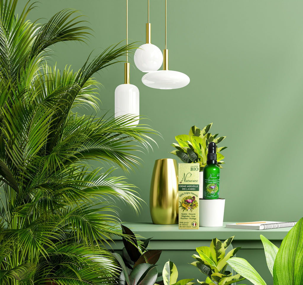 PRO - MERVEILLE DES LANDES ORGANIC - Sensitive Skin Care Complete Regeneration