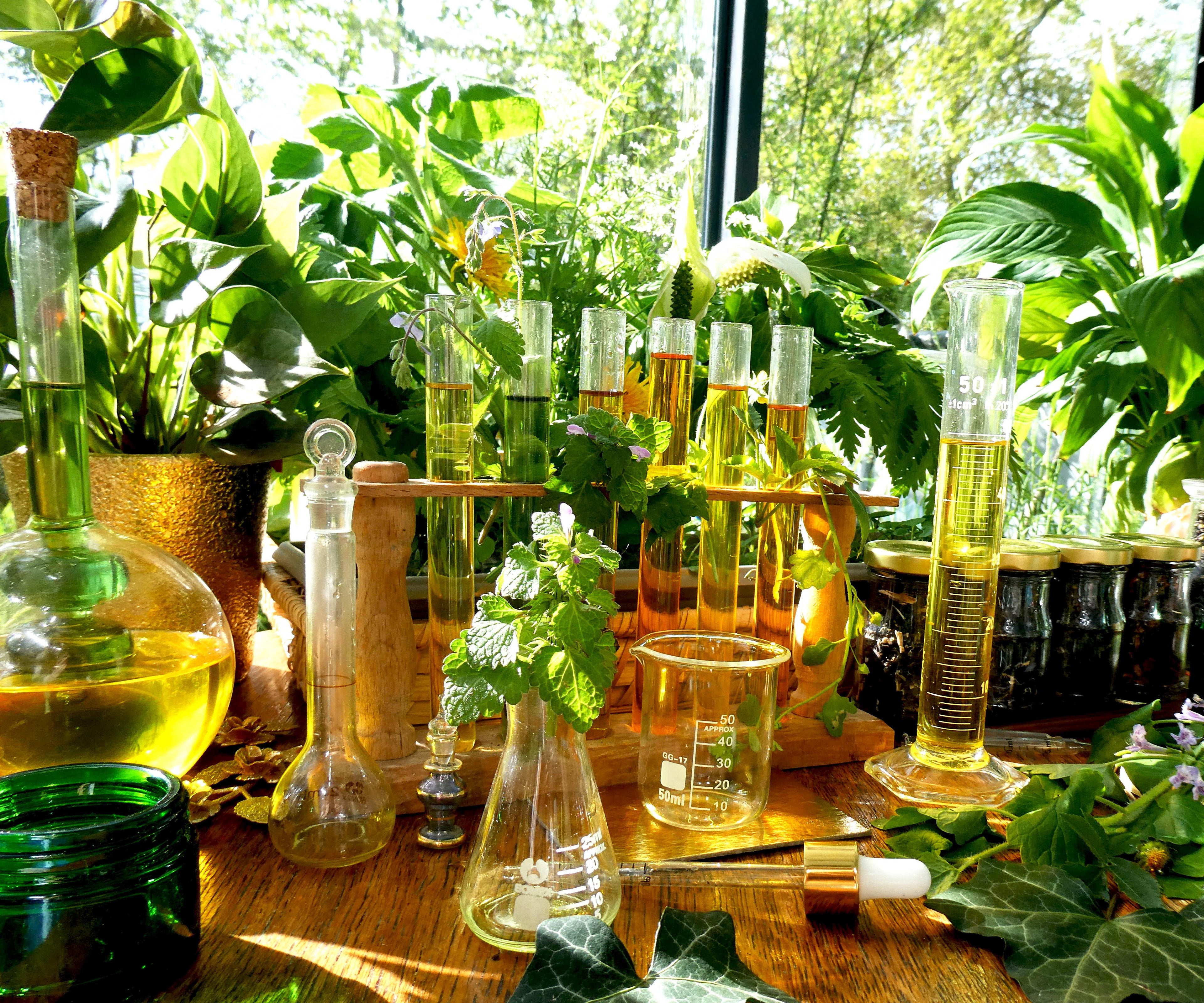 MERVEILLE DES LANDES ORGANIC - Sensitive Skin Care Complete Regeneration Face